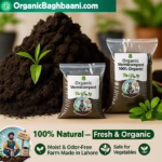 100% organic vermicompost fertilizer for plants in Pakistan. Safe for home gardens