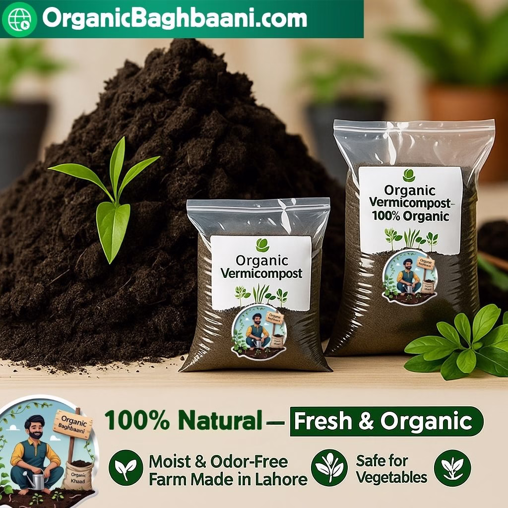100% organic vermicompost fertilizer for plants in Pakistan. Safe for home gardens
