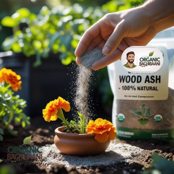 Organic wood ash fertilizer Pakistan