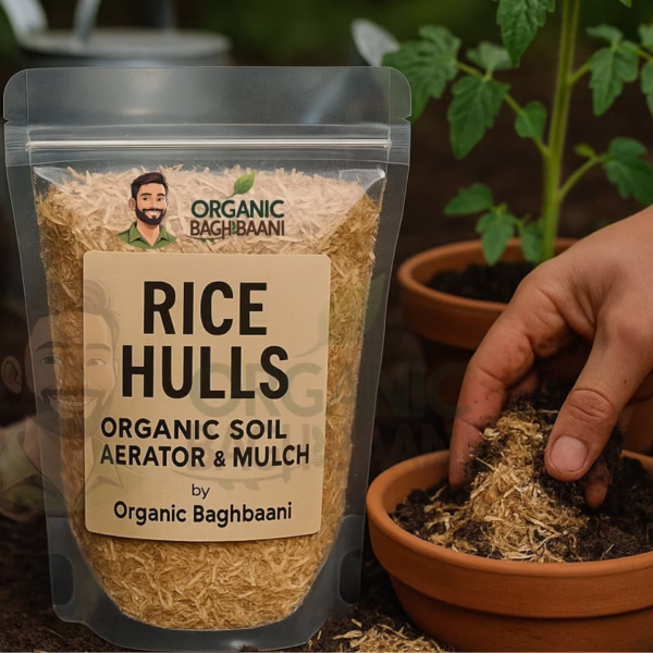 Organic rice hulls being mixed into compost soil near a potted vegetable plant, with labeled pouch from Organic Baghbaani